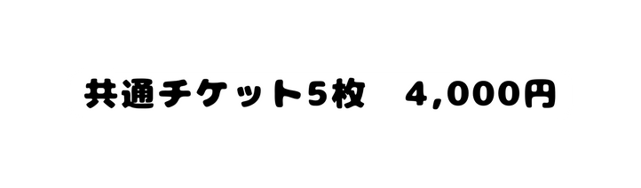 共通チケット5枚 4 000円